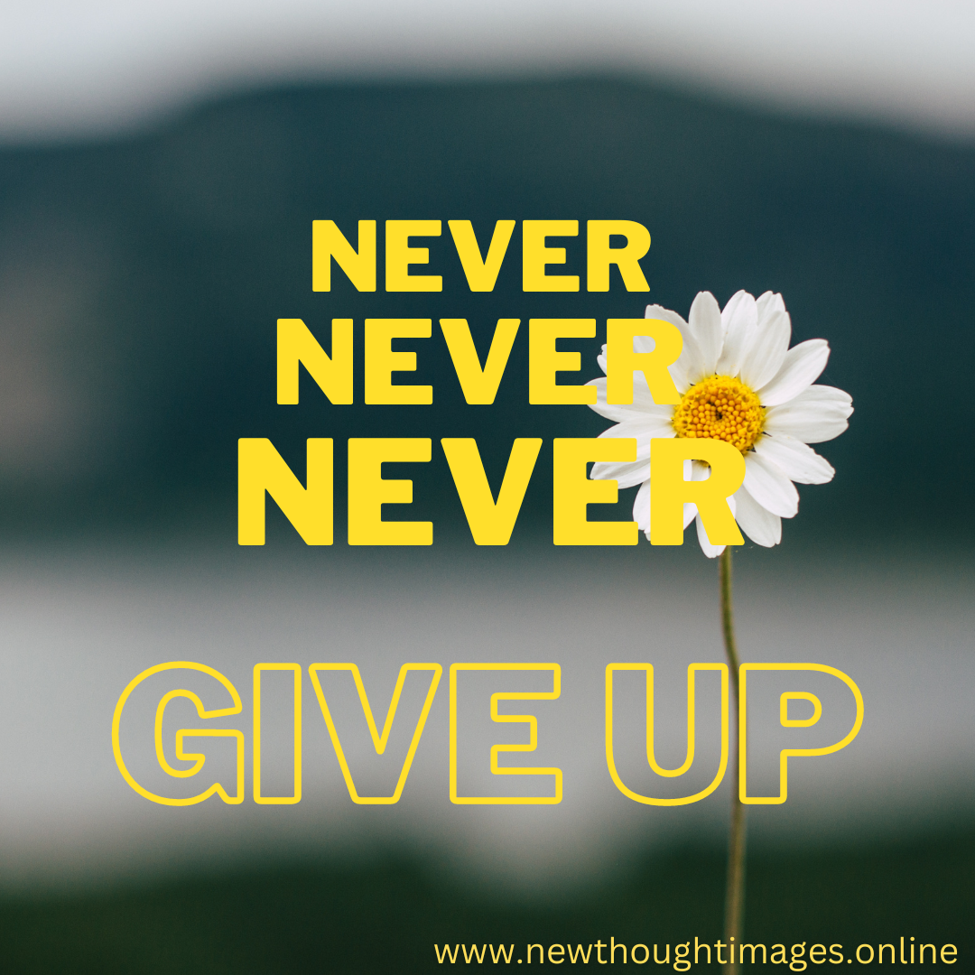 Never Give Up